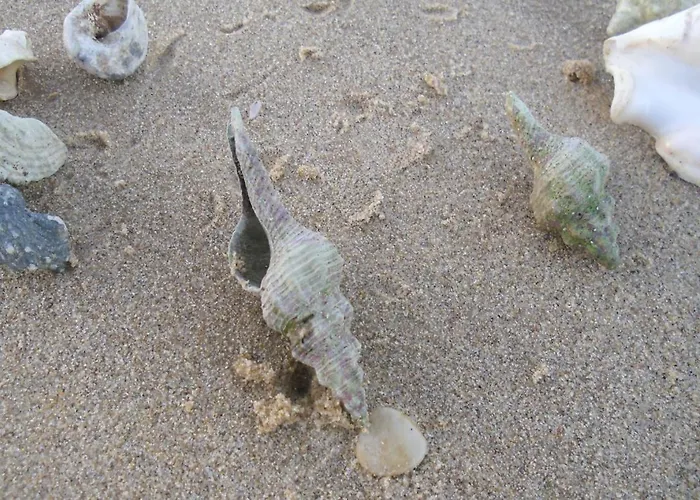 شاليه Ain Sokhna Panorama Sea View *
